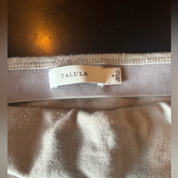 Aritzia Talula Mini Skirt - Picture 2 of 4